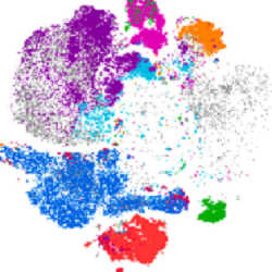  tSNE visualization of 6 × 105 live PBMCs sampled from each class E donor, colored by cell population